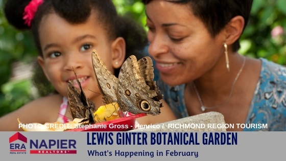 Lewis Ginter Botanical Garden February